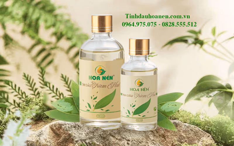 Giao diện dự án Tinh Hoa Dầu Nén